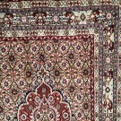 MOUD M / SILKE 245 X 85 thumbnail